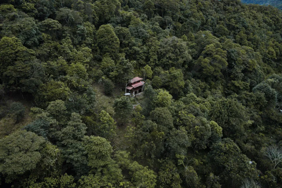 Vista aérea del bosque que rodea la finca.